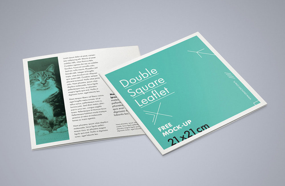 Double square leaflet Free PSD mockup