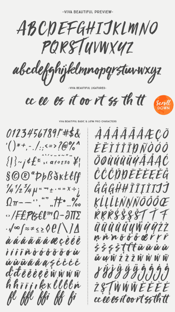 Viva Beautiful Free Script - Pixlov